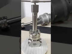 Lekeli Çelik BW-SW Bağlantısı PN10-32Mpa Kriyojenik Yüksek basınçlı küresel Vana