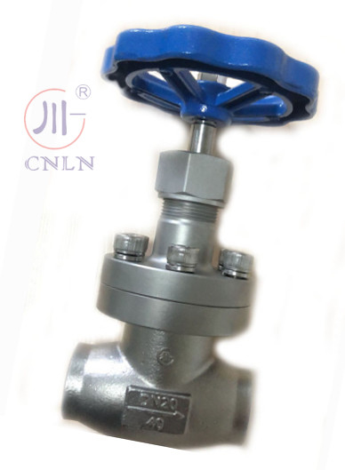 CNLN/Arman DJ61F-40P SS304/316 LNG/LOX/LN2 Sistemleri için Kriyojenik Küresel Valf Kısa Kök Tip A ((DN10-100mm) CE/ISO/EAC Sertifikalı