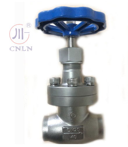 CNLN/Arman DJ61F-40P SS304/316 LNG/LOX/LN2 Sistemleri için Kriyojenik Küresel Valf Kısa Kök Tip A ((DN10-100mm) CE/ISO/EAC Sertifikalı