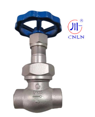 CNLN/Arman DJ61F-40P SS304/316 LNG/LOX/LN2 Sistemleri için Kriyojenik Küresel Valf Kısa Kök Tip C ((DN10-50mm) CE/ISO/EAC Sertifikalı