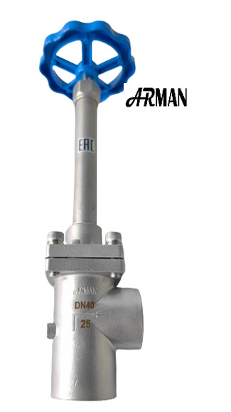 SS304/316 Sıvı doğal gaz için kriyojenik küre valfi uzun kök açılı tipi (DN15-40mm)