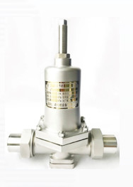 CNLN/Arman DY22F SS304/316 LNG/LOX/LN2 Sistemleri için Kriyojenik Basınç Azaltma Valfı (DN20-50mm)