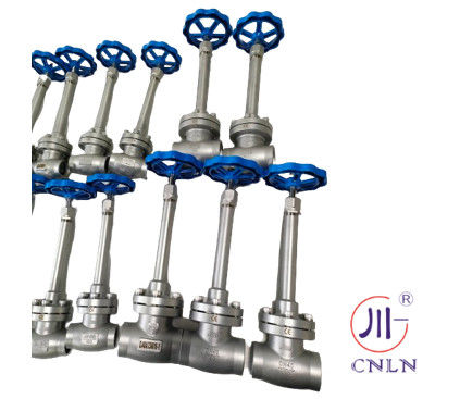 SS304/316 LNG/LOX/LN2 için Kriyojenik Küre Valf Kısa Kök Tipi B ((DN10-100mm)