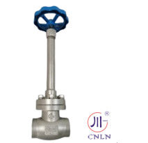 CF3/CF8 DN50 SS304/SS316 LNG/LOX/LN2/LAR/LCO2 için