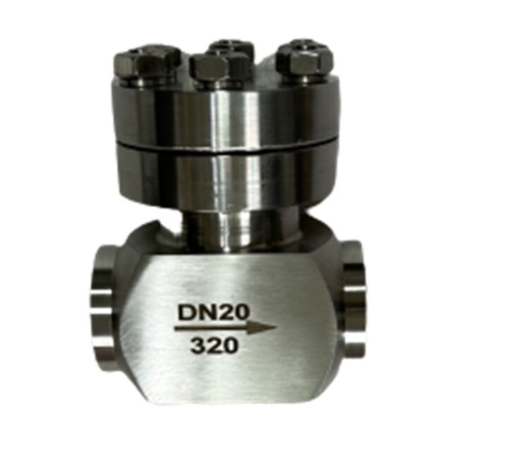 320 Mpa Maksimum Basınçlı Paslanmaz Çelik 304/316, -196 ila +80°C Sıcaklık Aralığı için Kriyojenik Çekvalf