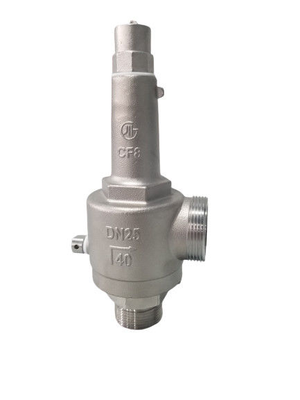 DN25 LNG/LOX/LN2/LAR/LCO2 için tam açık kriyojenik güvenlik valfi -196~+80 °C
