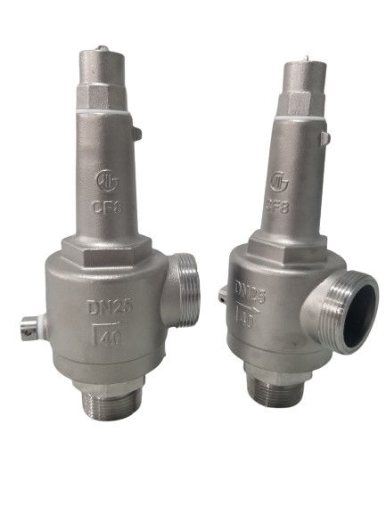 DN25 LNG/LOX/LN2/LAR/LCO2 için tam açık kriyojenik güvenlik valfi -196~+80 °C